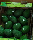hass avocado